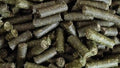 Natürliches Garnelenfutter mit Brennnessel (25 g)