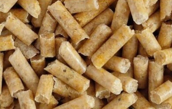 Garnelen Futtersticks Karotte Pur – Naturfutter für Garnelen (25 g)