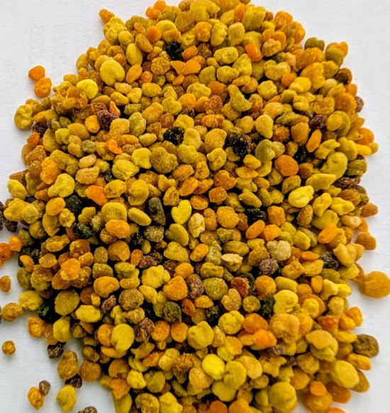 100 % Blütenpollen - Premium Futter 10gr.